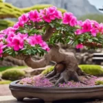 bonsai rosa do deserto
